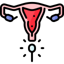Abnormal Pap Smears