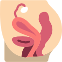 Pelvic Organ Prolapse