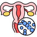 Vaginal Infections (3)