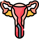 endometrial